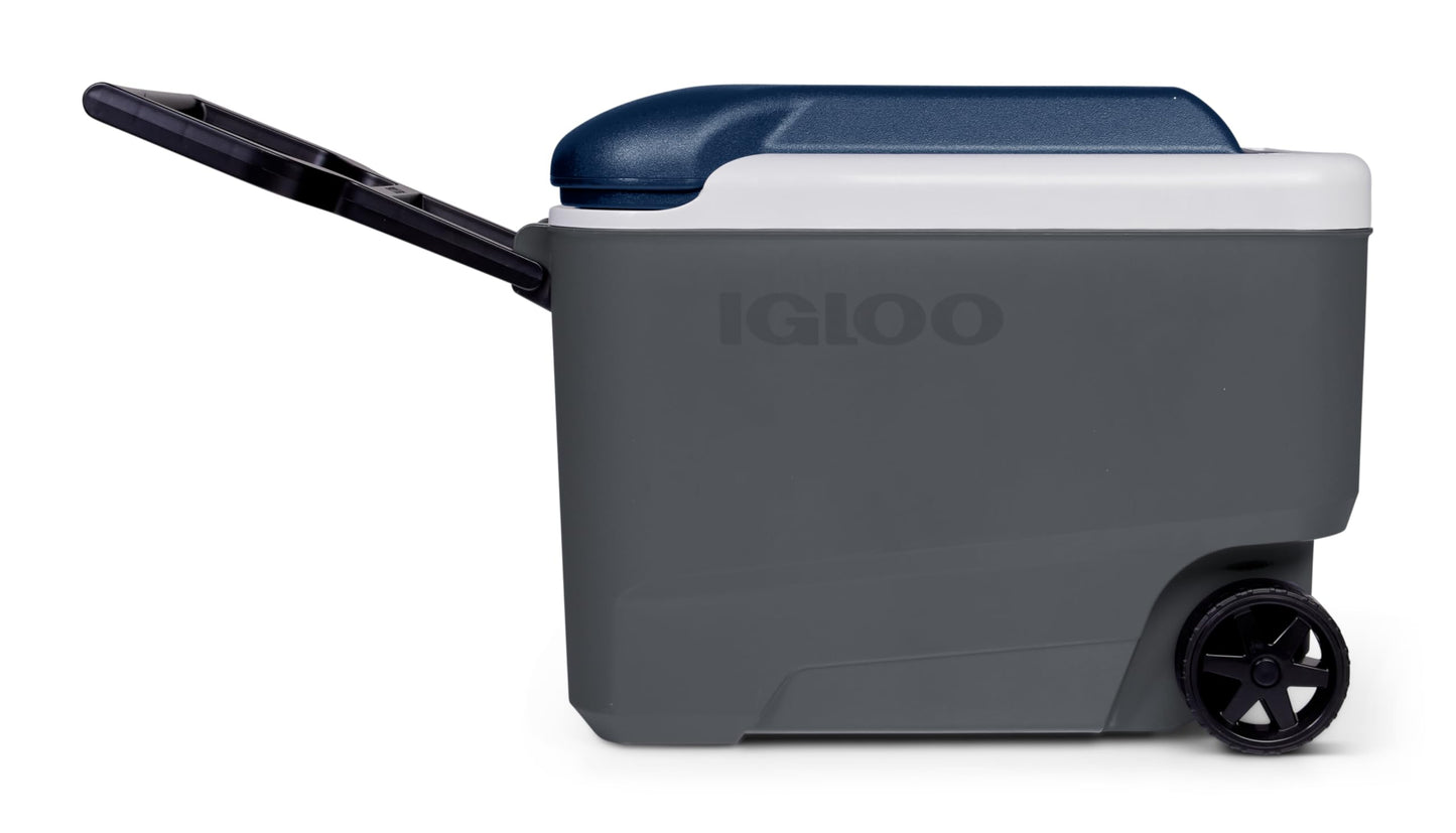 IGLOO Maxcold
